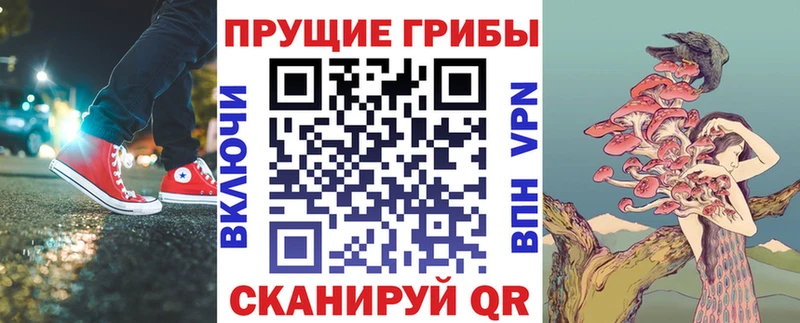 Галлюциногенные грибы мицелий Порхов